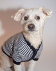 Zig-Zag Cardigan Sweater