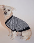 Zig-Zag Cardigan Sweater