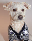 Zig-Zag Cardigan Sweater