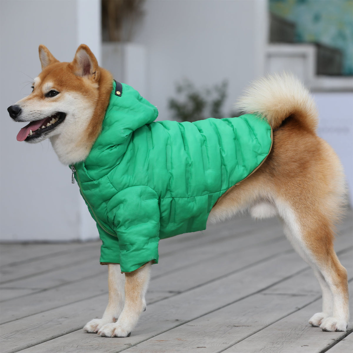Zip-up Puffer Jacket with Hood