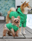 Zip-up Puffer Jacket with Hood