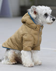 Zip-up Puffer Jacket with Hood
