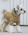 Zip-up Puffer Jacket with Hood
