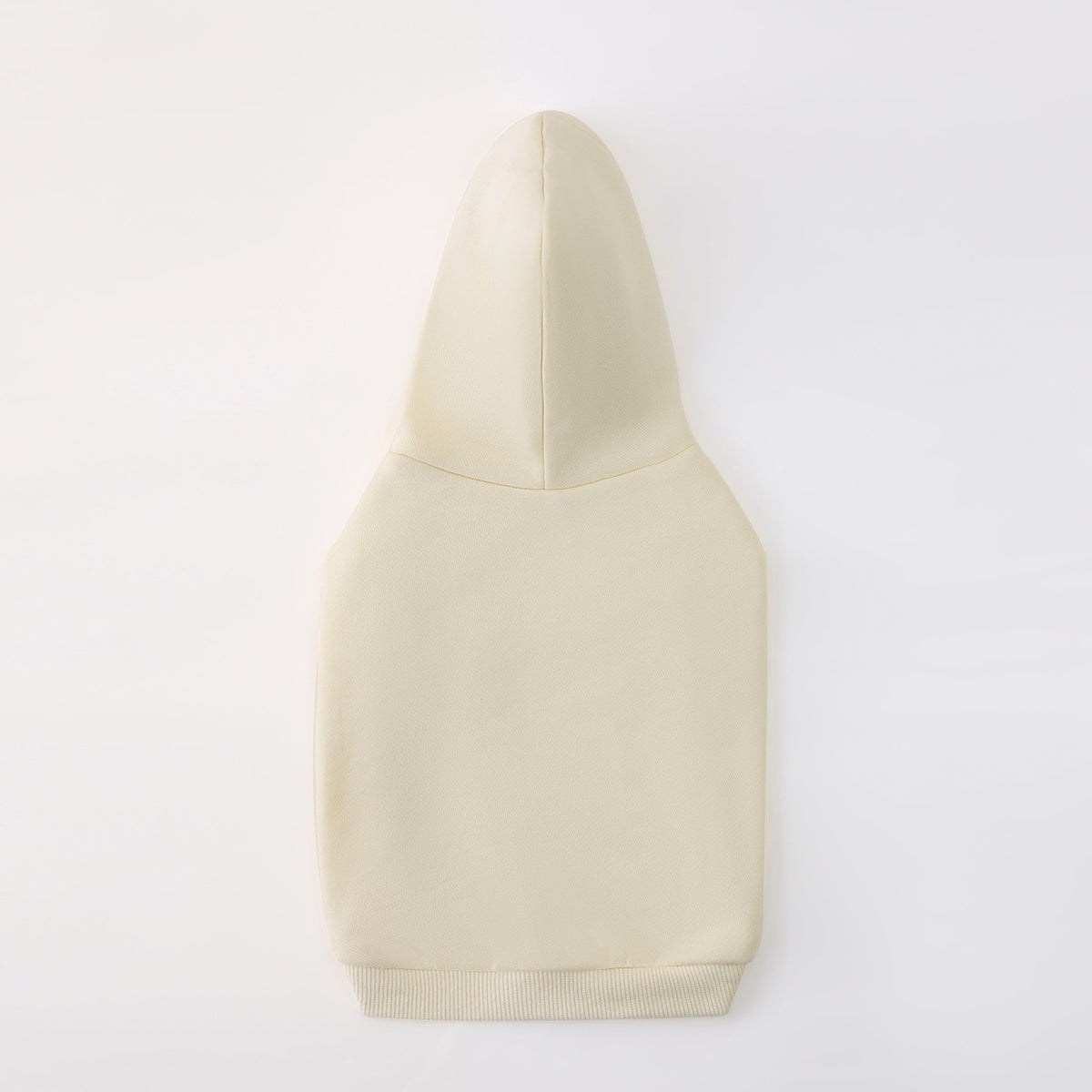 Hoodie with Slogan