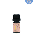 Geometric Glass Aroma Diffuser with Essential Oil Set