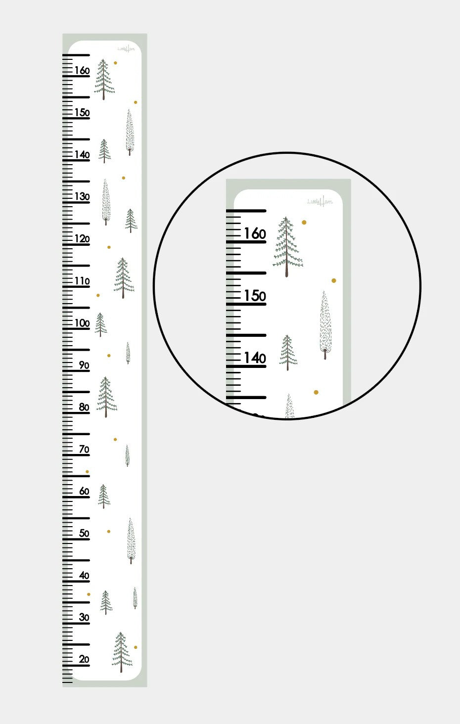 Fir Trees Growth Chart for Children