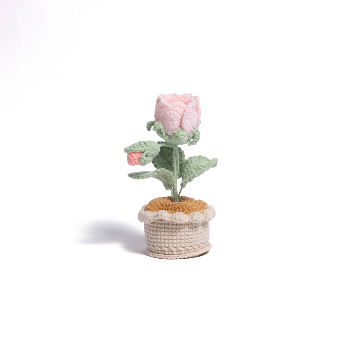 Cozy Roses Table-top Plant
