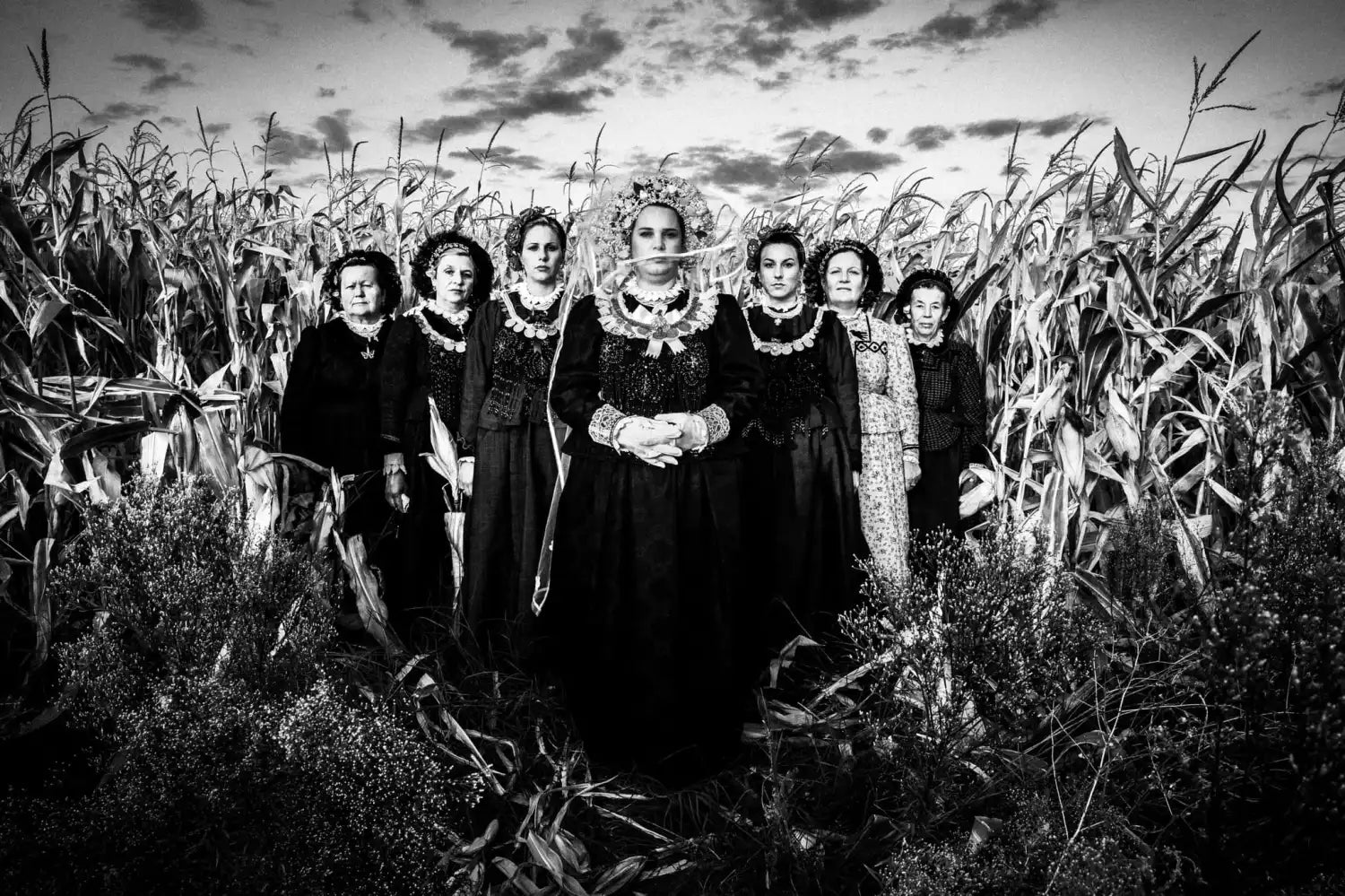 LIMITED EDITION PRINT: The Women of Nea Vyssa in the Cornfield - Signed &amp; Numbered by George Tatakis by George Tatakis at brixbailey.com