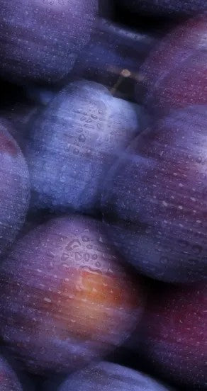 Craving the Moment Perfume Oil 10ml