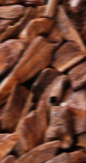 Incognito Perfume Oil Roll On 10ml