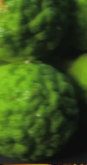 Nights In Morocco Perfume Oil 10ml