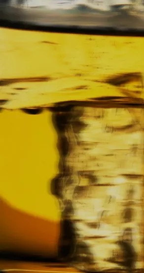 Paradox In A Bottle Perfume Oil 10ml