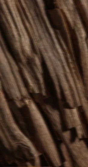 Paradox In A Bottle Perfume Oil 10ml