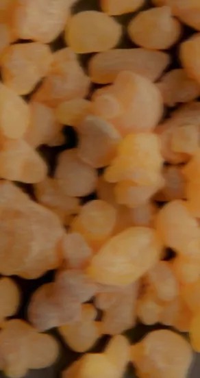 Spring Of Youth Perfume Oil 10ml