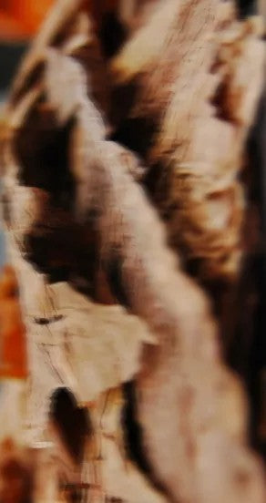 Under The Sheets Perfume Oil 10ml