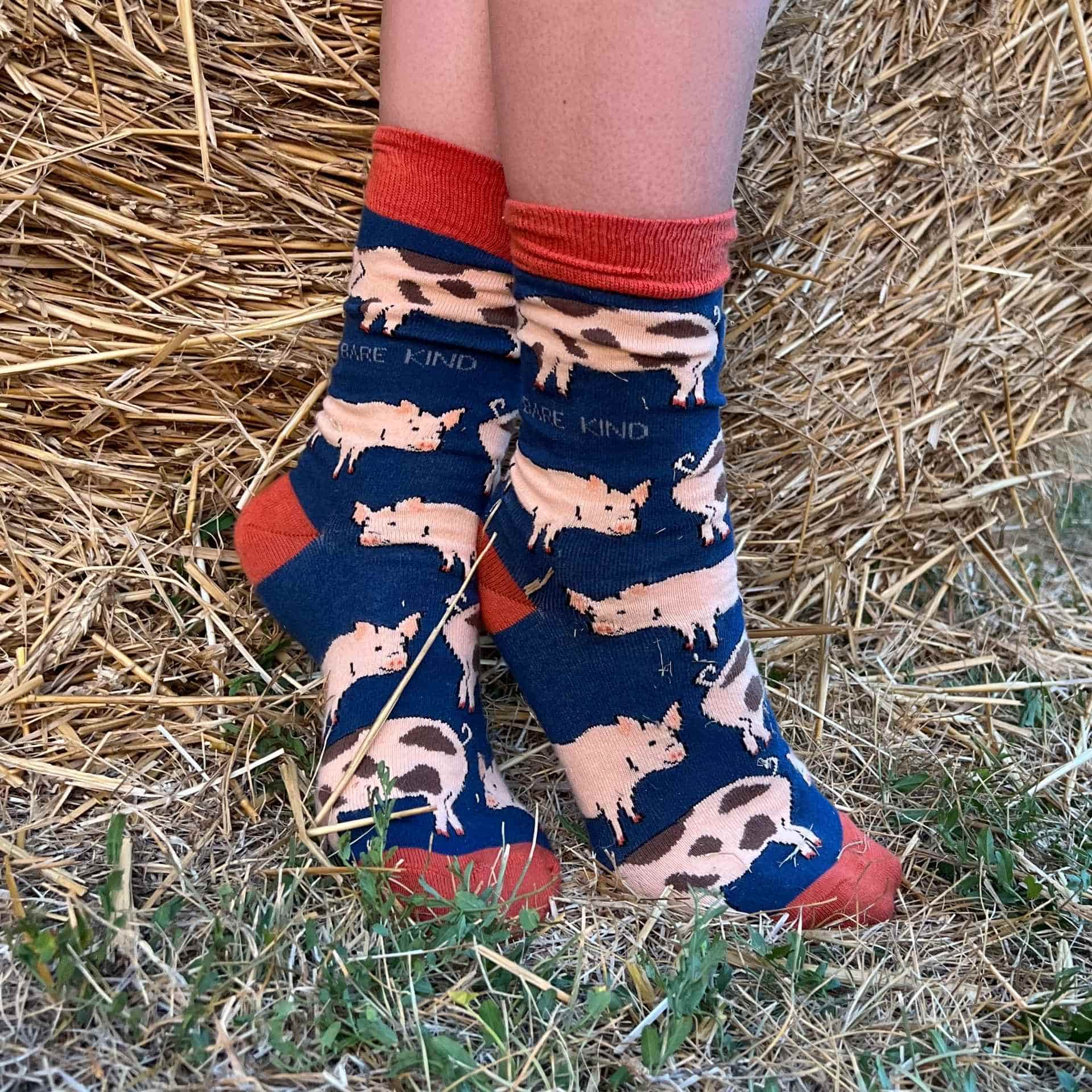 Farm Rainbow Bundle Bamboo Sock Set of 4