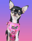 Signature Pink Chihuahua Print Exclusive Small Dog Harness by My Chi and Me SALE