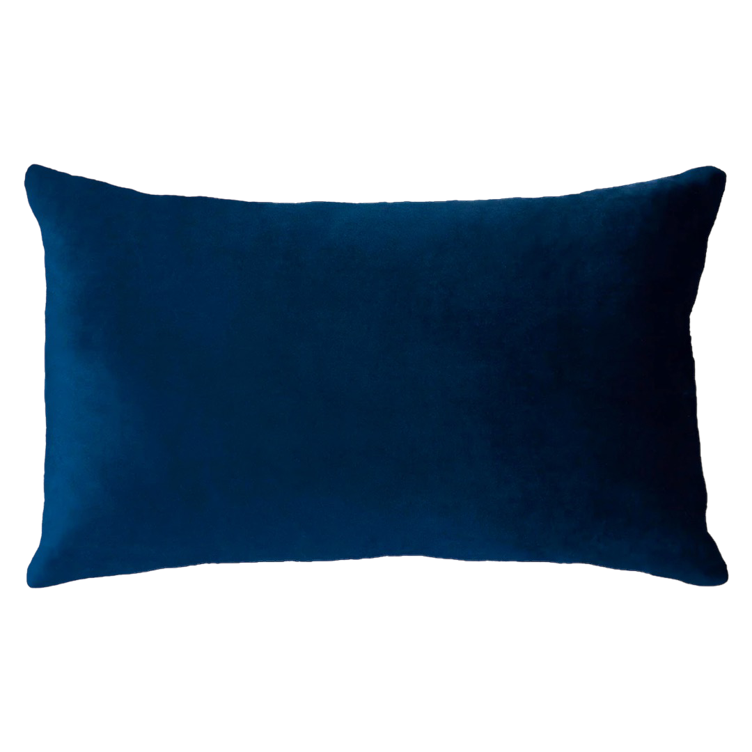 Netflix &amp; Chill Needlepoint Cushion