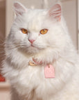 Leather Collar