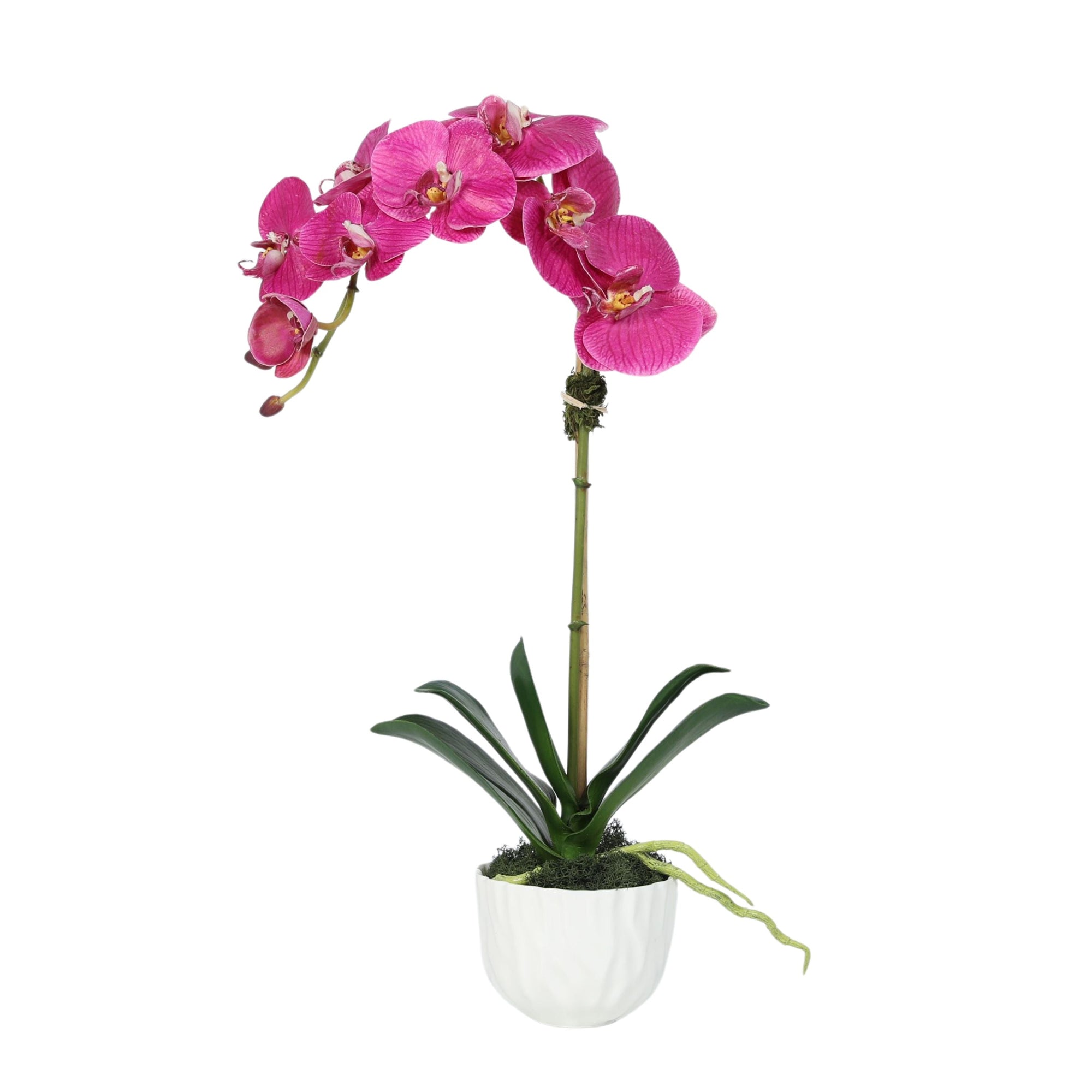 Faux Orchid Plant in White Vase - 18"