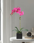 Faux Orchid Plant in Square Vase - 20"