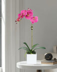 Faux Orchid Plant in Square Vase - 20"