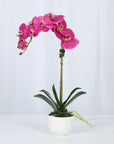 Faux Orchid Plant in White Vase - 18"