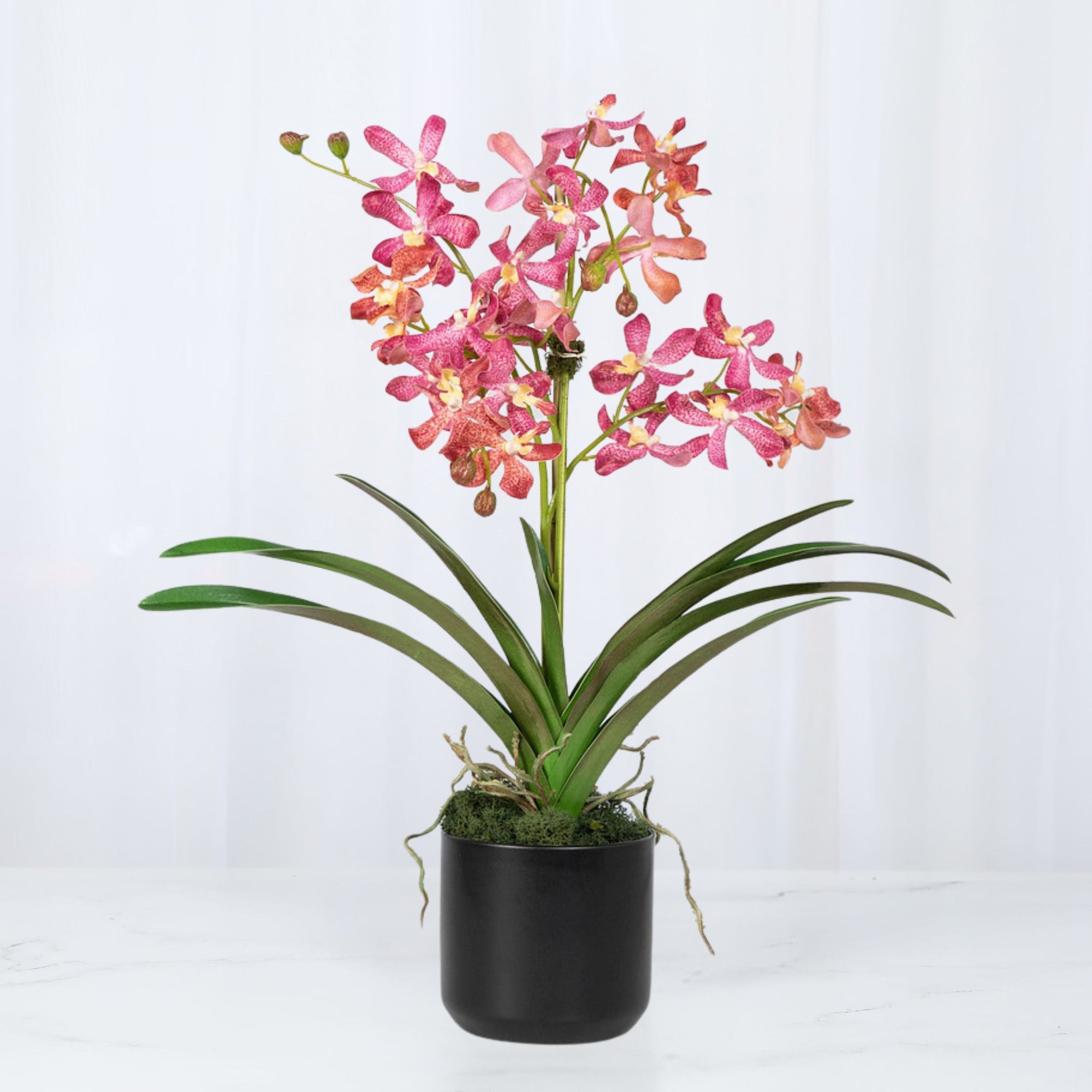 Pink Vanda Orchid Arrangement in Vase - 24"