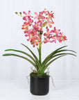 Pink Vanda Orchid Arrangement in Vase - 24"