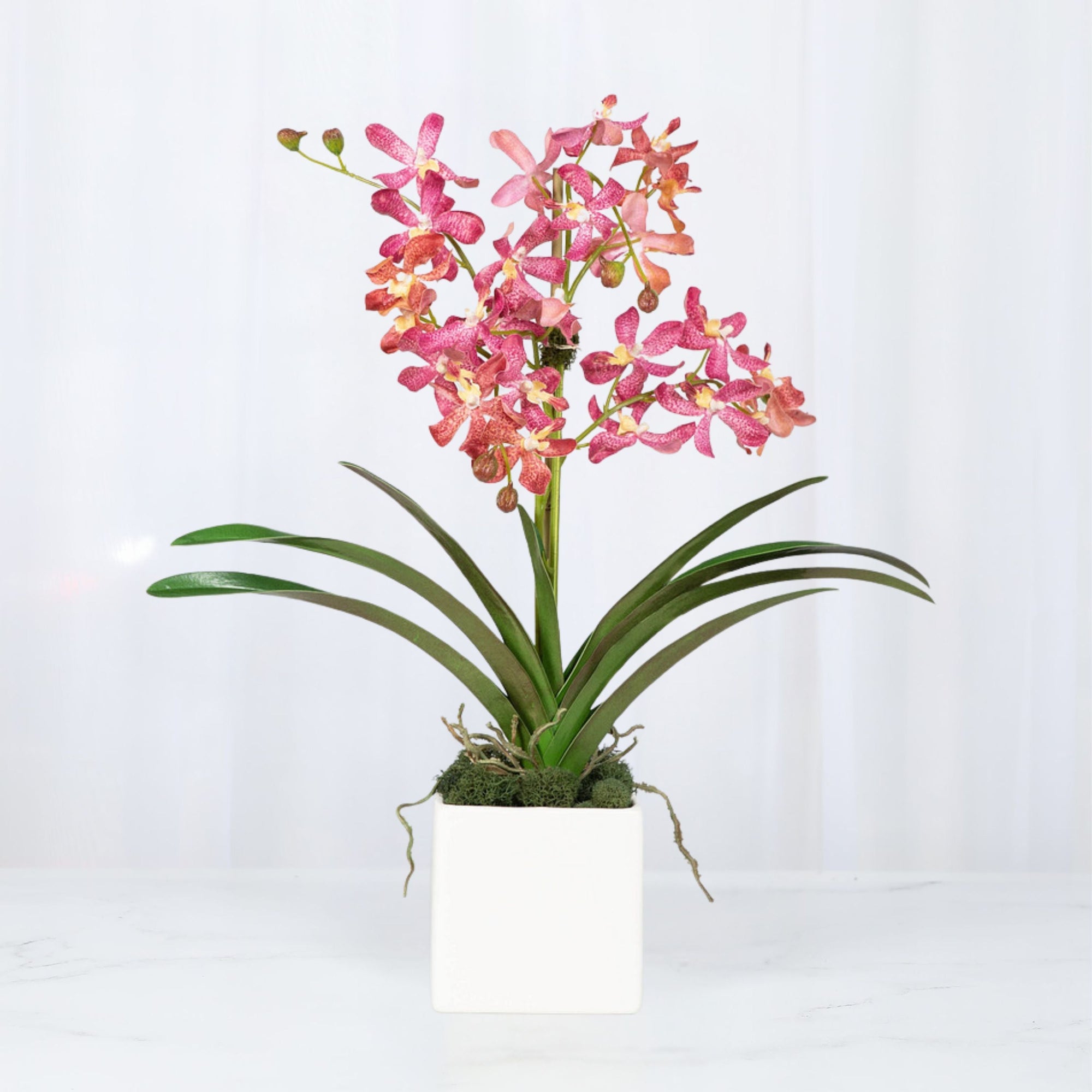 Pink Vanda Orchid Arrangement in Vase - 24"