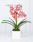 Pink Vanda Orchid Arrangement in Vase - 24"