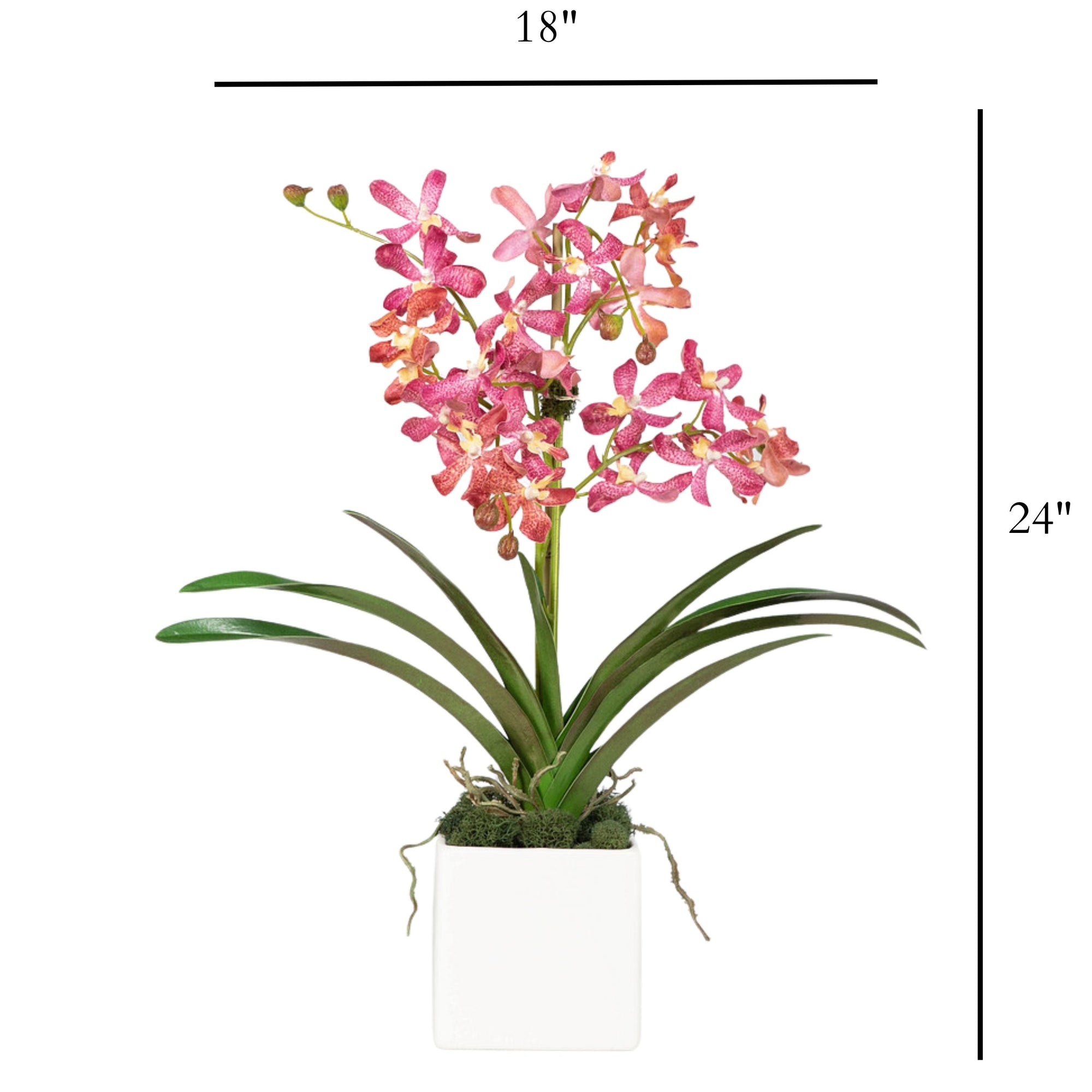 Pink Vanda Orchid Arrangement in Vase - 24"