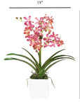 Pink Vanda Orchid Arrangement in Vase - 24"