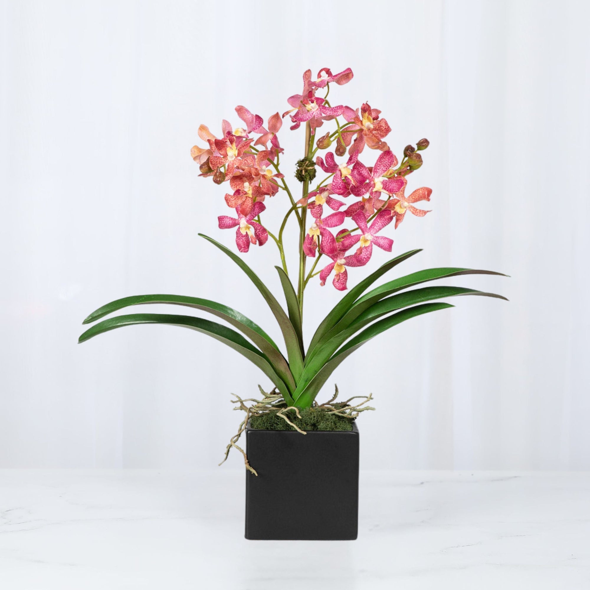 Pink Vanda Orchid Arrangement in Vase - 24"