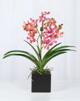 Pink Vanda Orchid Arrangement in Vase - 24"