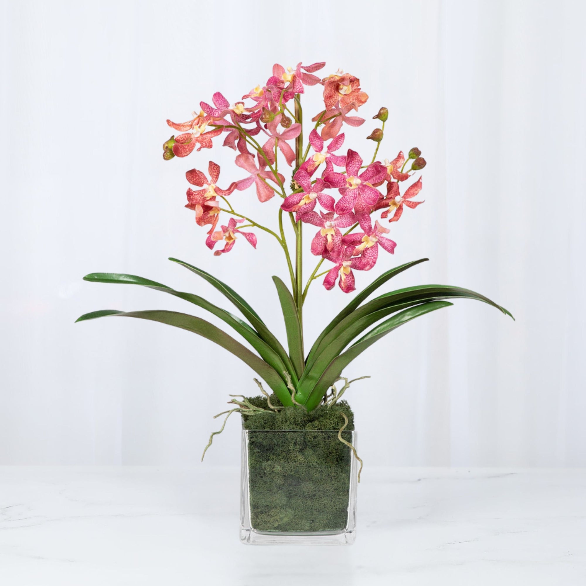 Pink Vanda Orchid Arrangement in Vase - 24"