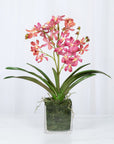 Pink Vanda Orchid Arrangement in Vase - 24"