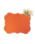 Papaya Coloured Placemats - Set of 4