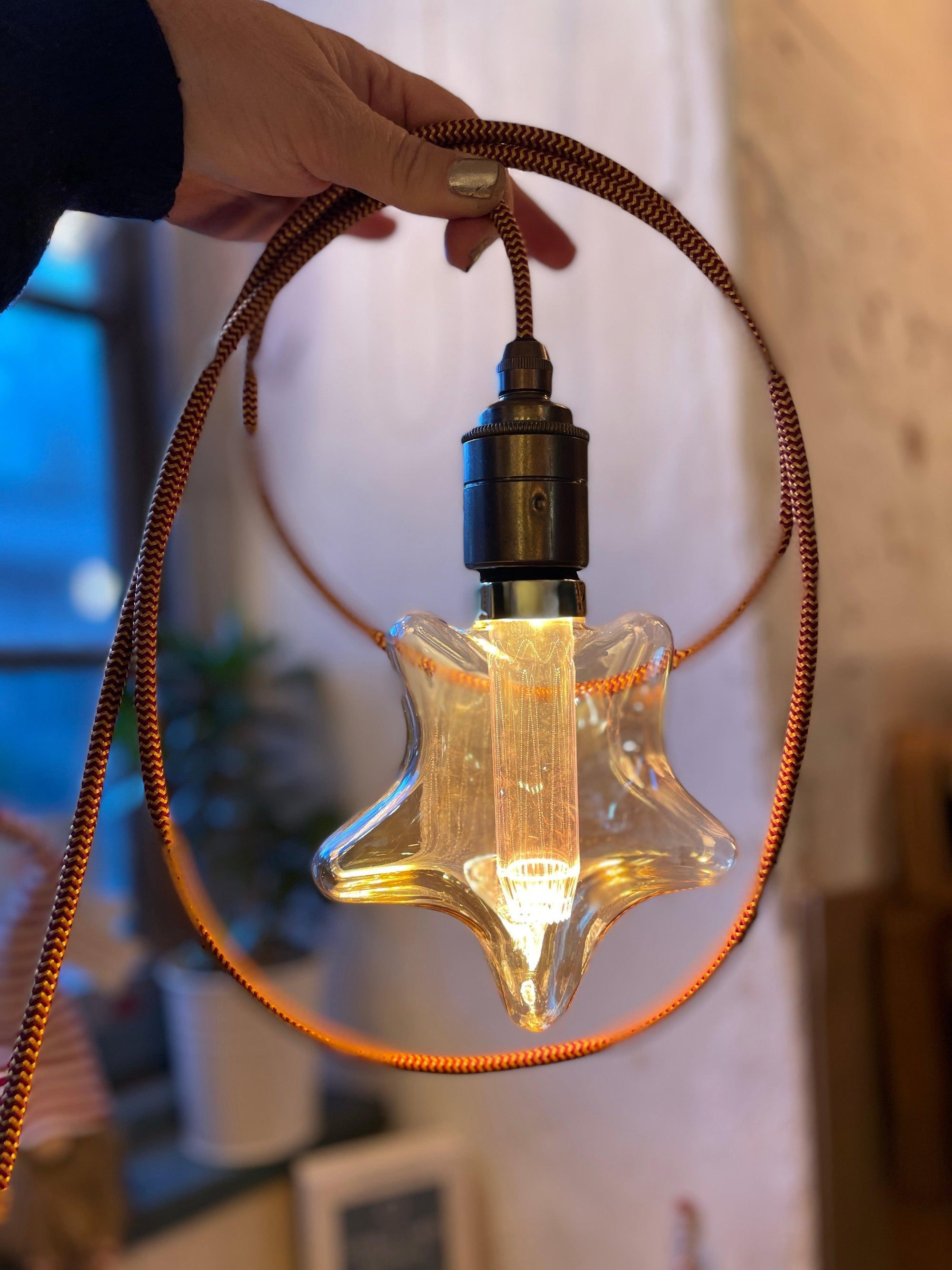 Plug in Pendant Cable Set