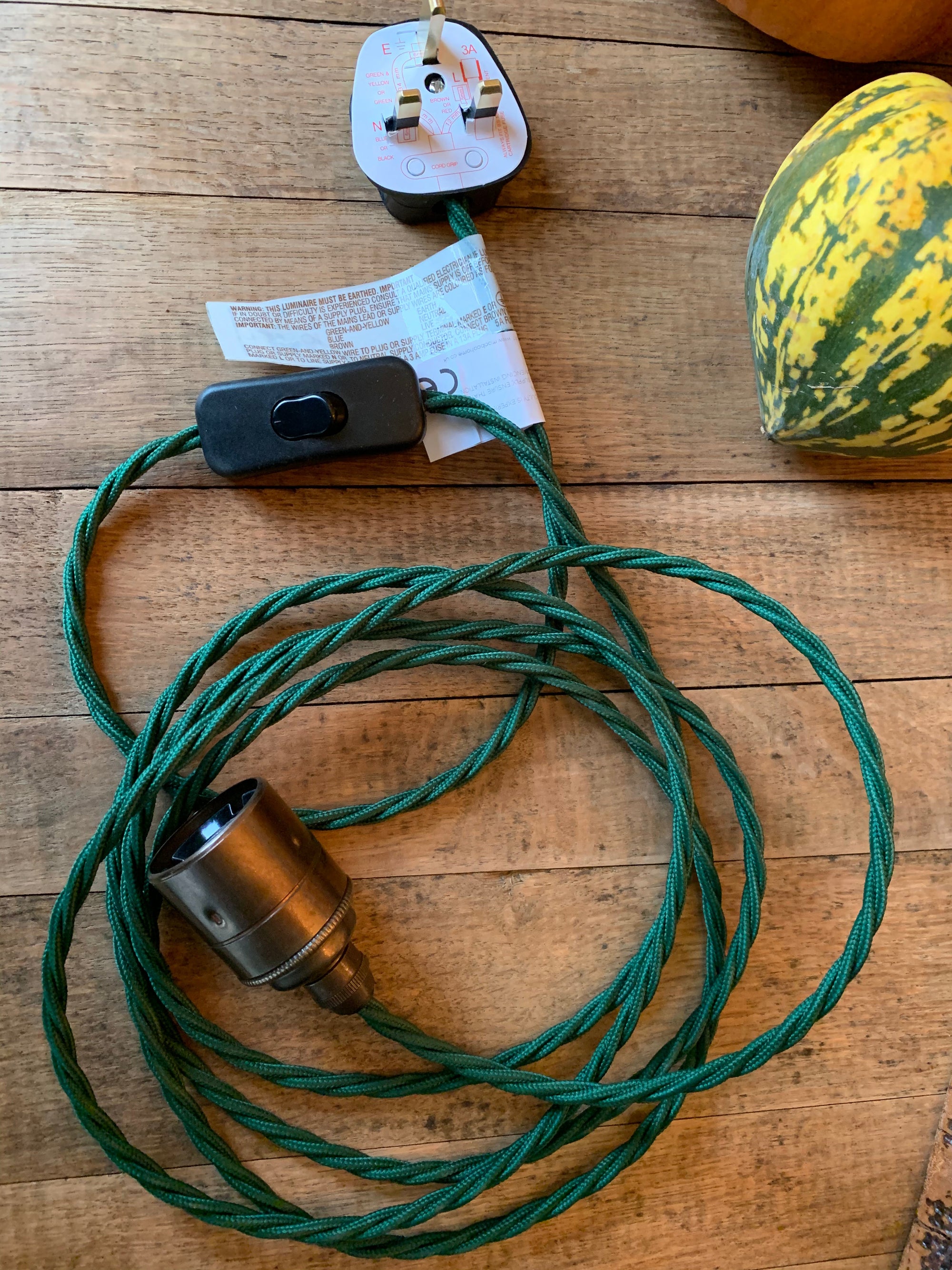 Plug in Pendant Cable Set