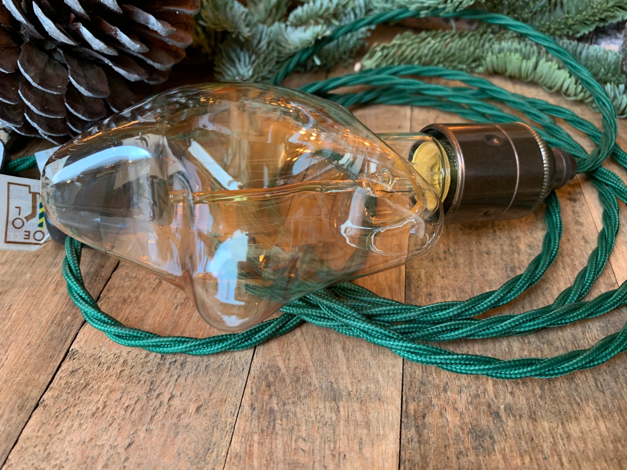 Plug in Pendant Cable Set