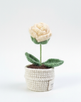 The Everlasting Queen Rose