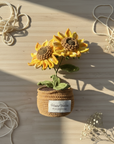 Sun-Chaser Sunflower