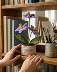 The Flamingo Heart Anthurium