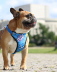 Pressure Free Dog Harness in Blue Graffiti