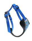 Pressure Free Dog Harness in Blue Graffiti