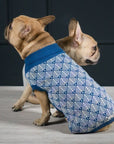Navy Blue Pullo Sweater for Stylish Dogs