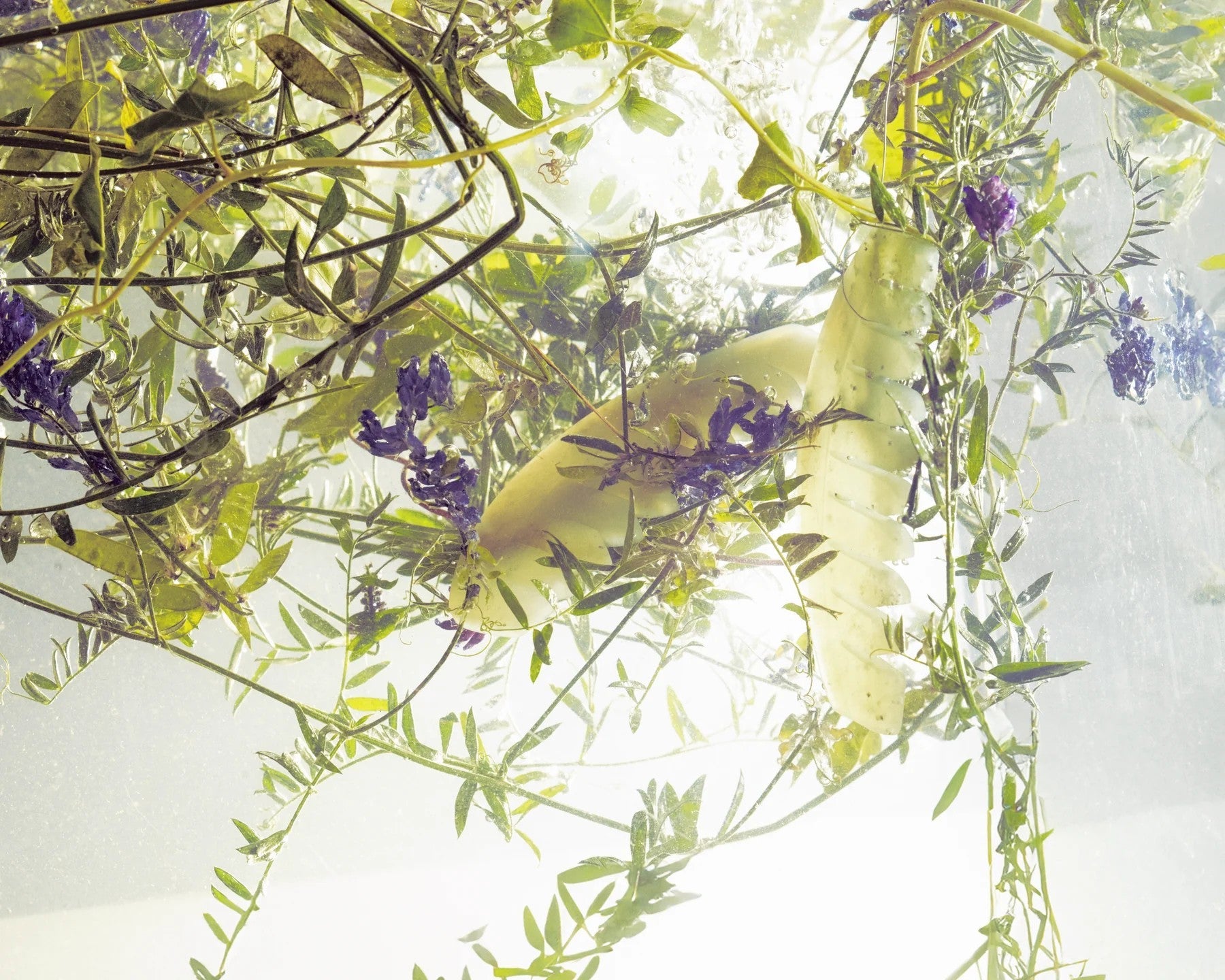 Jade Scalp Comb for Hair Growth and Massage