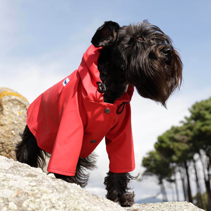 Eco-Friendly Sarah Raincoat - Recycled Ocean Plastic