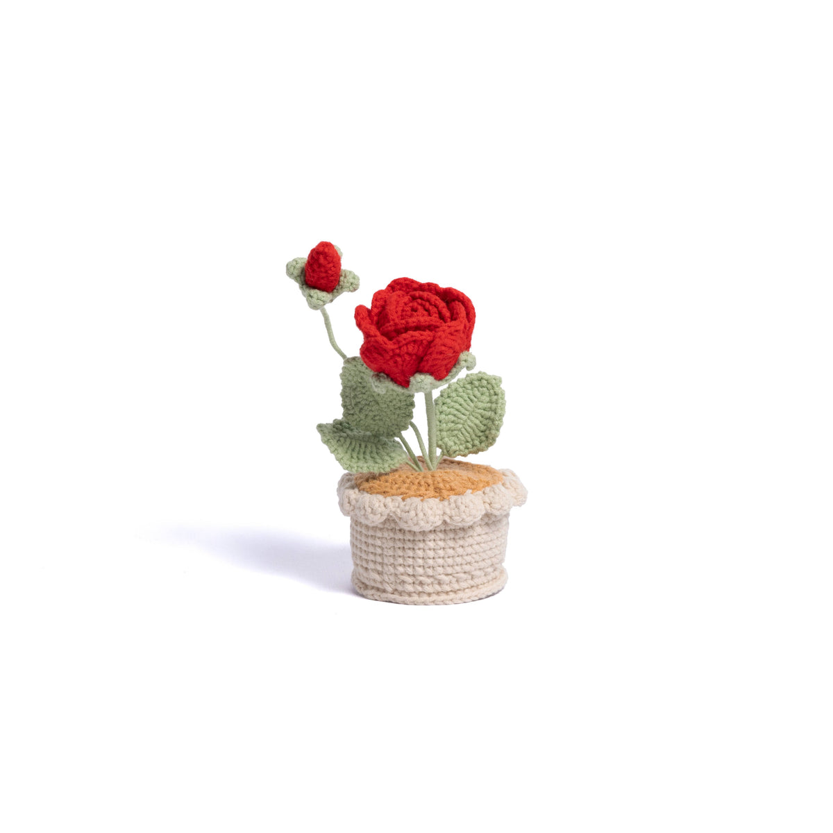 Cozy Roses Table-top Plant
